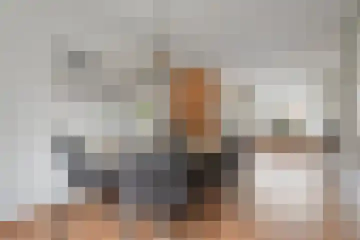 Stuwwal 11 Steenwijk thumbnail 6