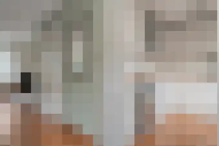 Stuwwal 11 Steenwijk thumbnail 7