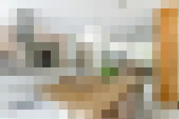 Stuwwal 26 Alkmaar thumbnail 11