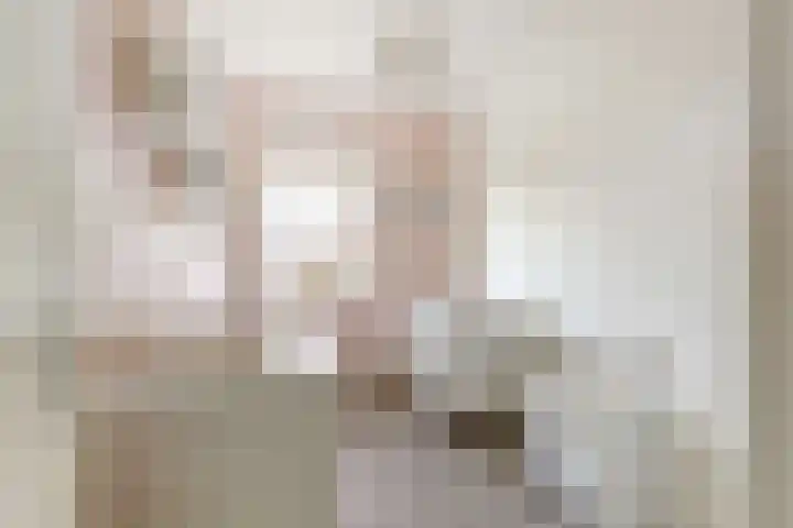 Stuwwal 26 Alkmaar thumbnail 15