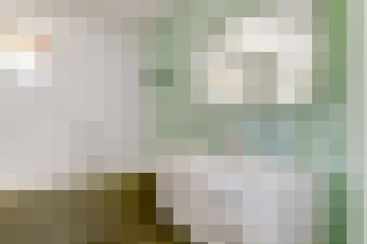 Stuwwal 26 Alkmaar thumbnail 18