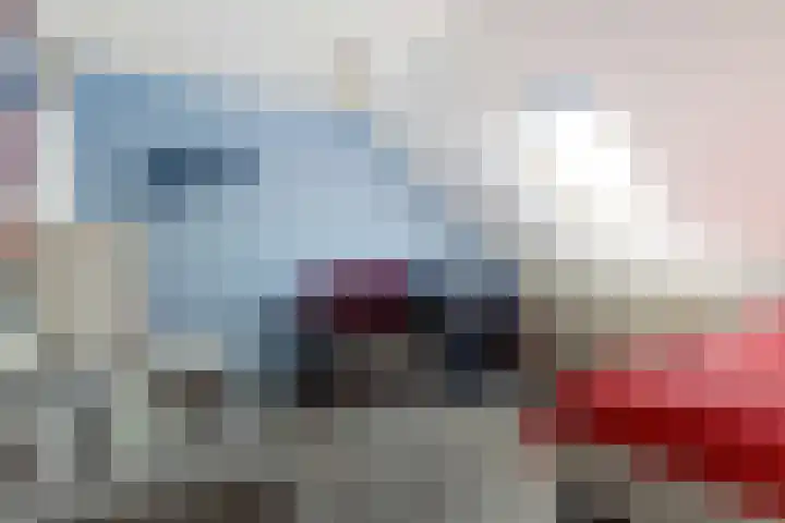 Stuwwal 26 Alkmaar thumbnail 20