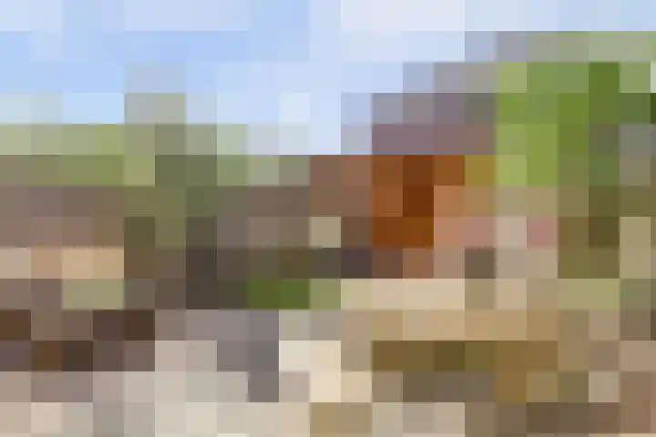Stuwwal 26 Alkmaar thumbnail 23