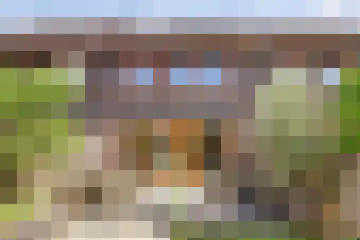 Stuwwal 26 Alkmaar thumbnail 25