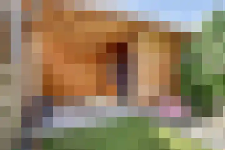 Stuwwal 26 Alkmaar thumbnail 27