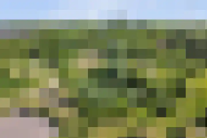 Stuwwal 26 Alkmaar thumbnail 30