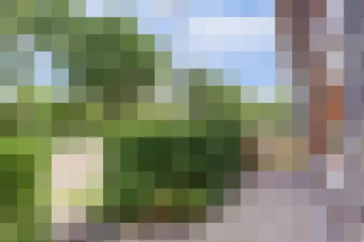 Stuwwal 26 Alkmaar thumbnail 32