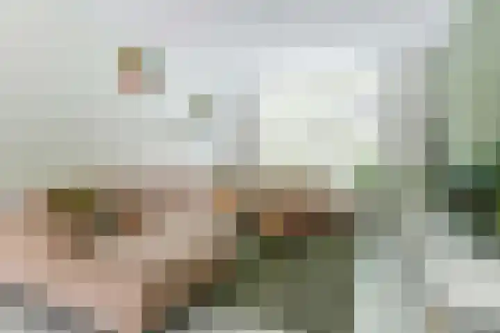 Stuwwal 26 Alkmaar thumbnail 4