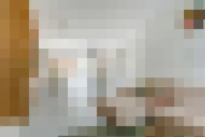 Stuwwal 26 Alkmaar thumbnail 5