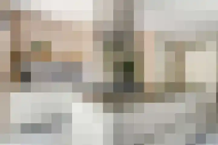 Stuwwal 26 Alkmaar thumbnail 9