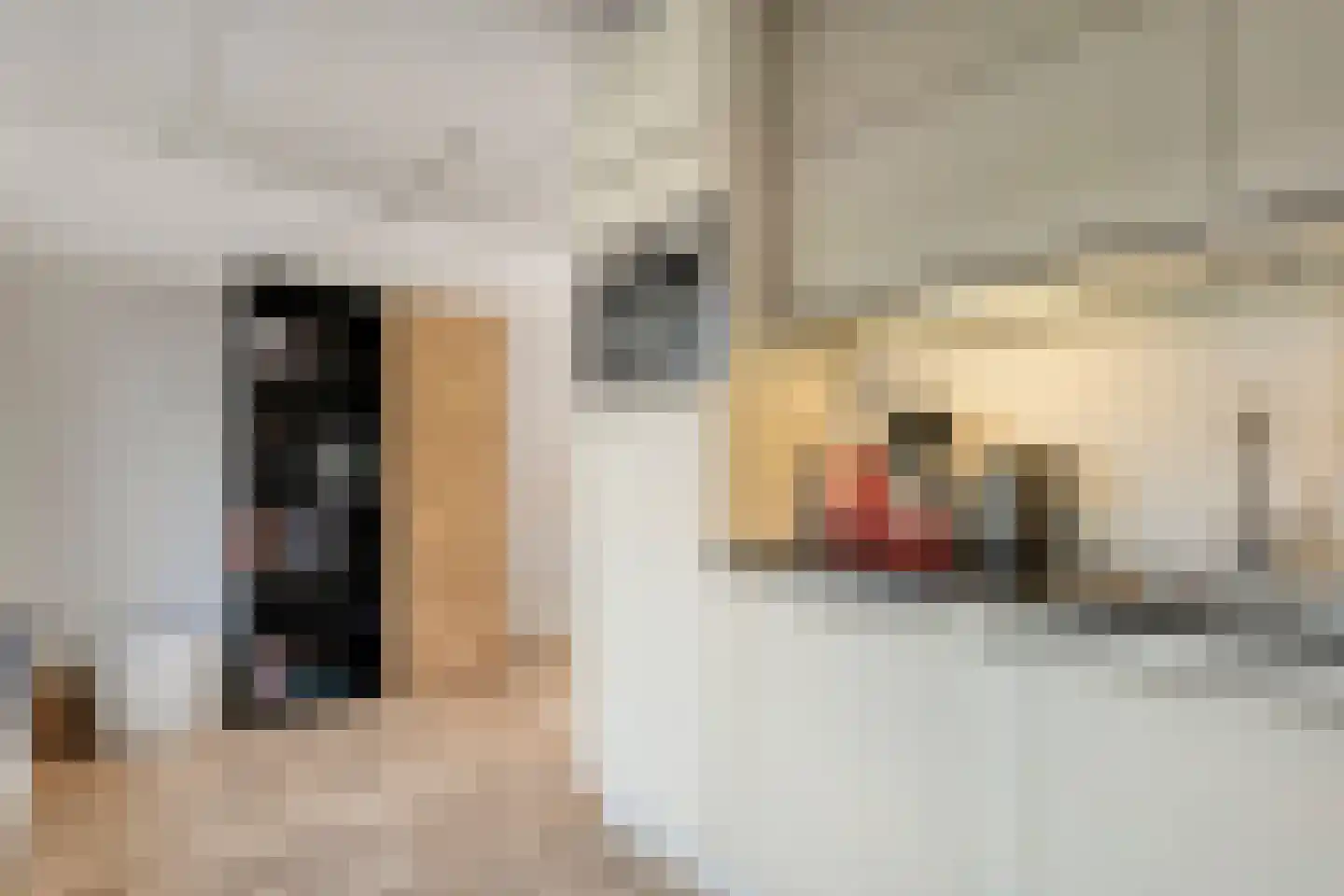 Stuwwal 30 Steenwijk thumbnail 10