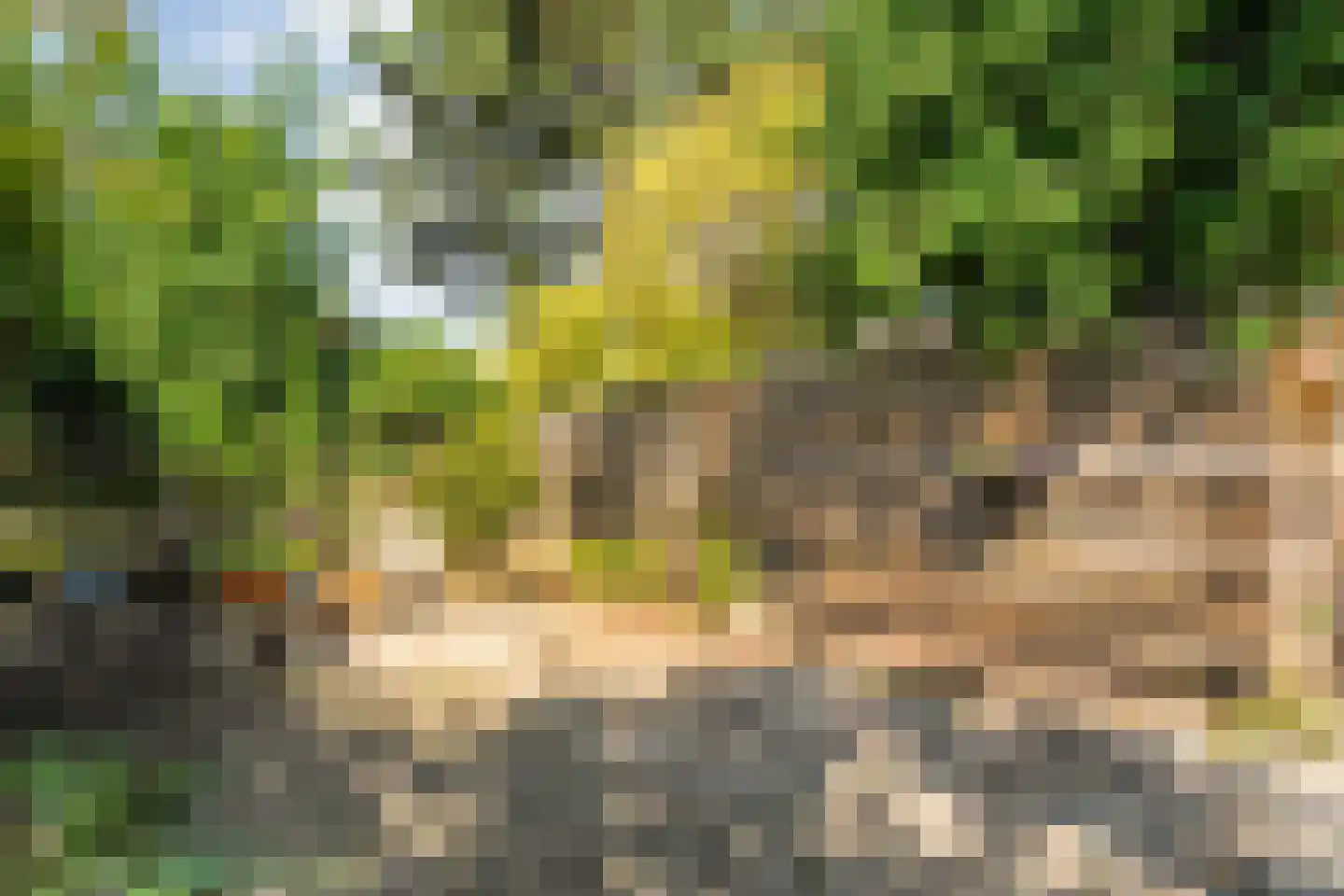 Stuwwal 30 Steenwijk thumbnail 38