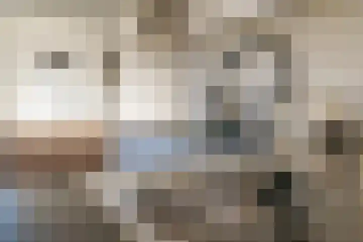 Stuwwal 66 Steenwijk thumbnail 20