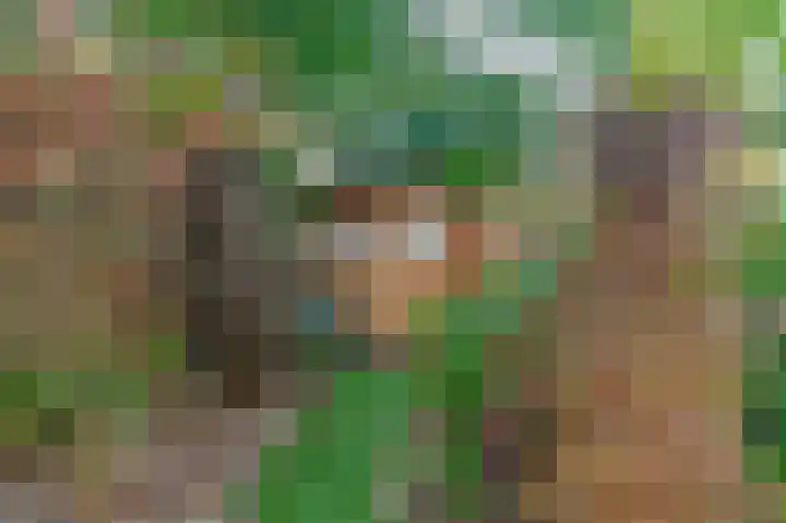 Stuwwal 66 Steenwijk thumbnail 35