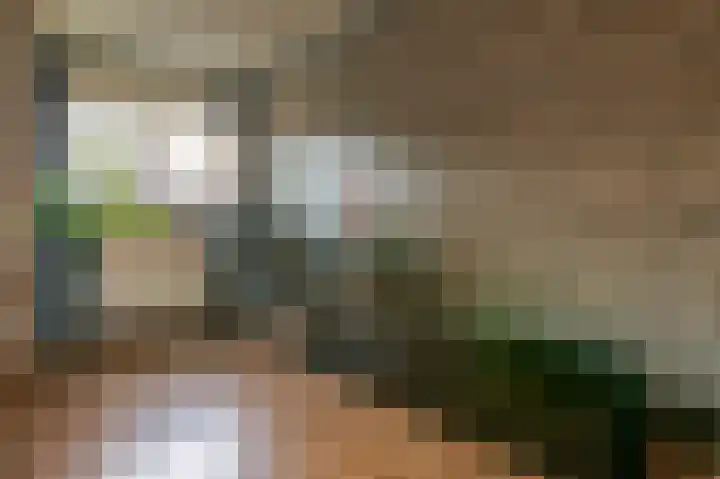 Stuwwal 66 Steenwijk thumbnail 7