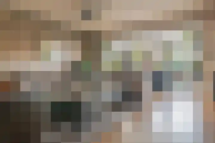 Stuwwal 66 Steenwijk thumbnail 8