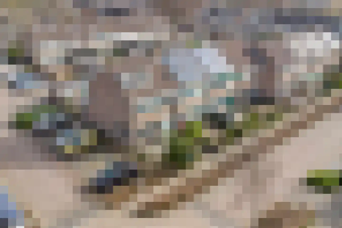 Stuylinglaan 16 Heerhugowaard thumbnail 32
