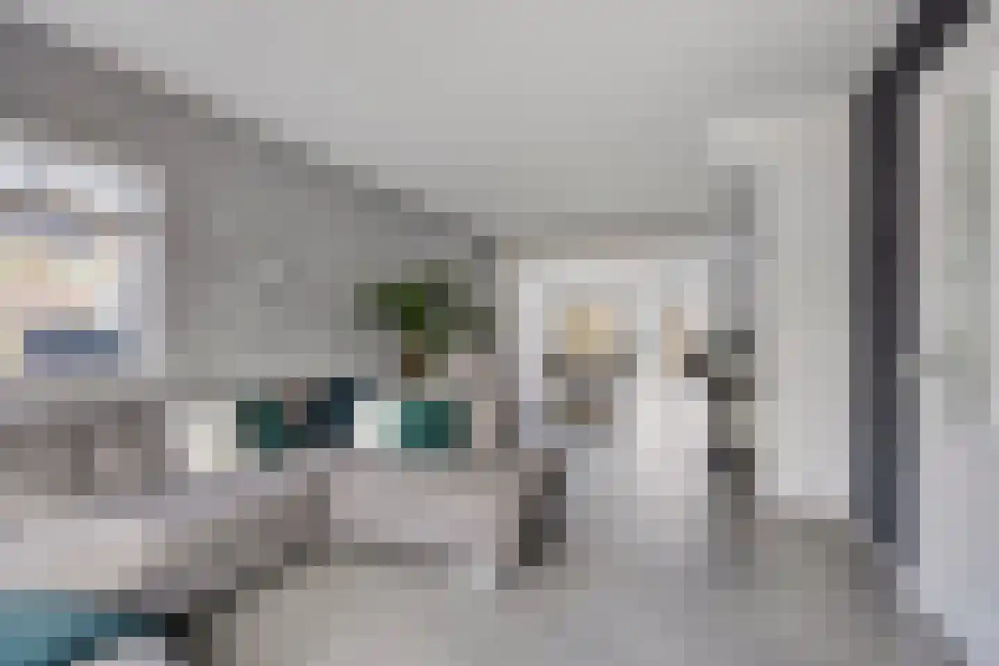 Stuylinglaan 16 Heerhugowaard thumbnail 6