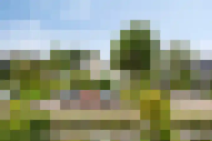 Stuylinglaan 26 Heerhugowaard thumbnail 32