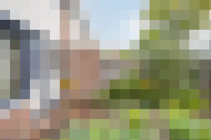 Stuylinglaan 26 Heerhugowaard thumbnail 41