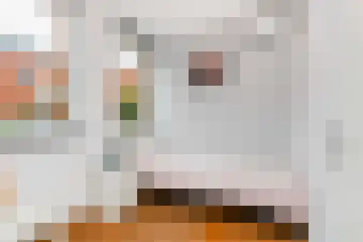 Stuytstraat 2 Utrecht thumbnail 14