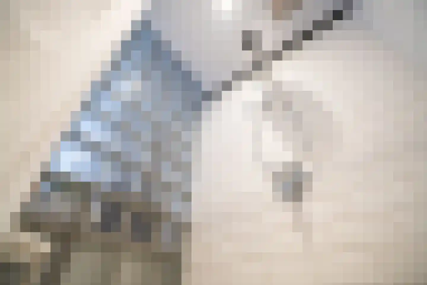 Stuyvesantplein 14 Den Haag thumbnail 15