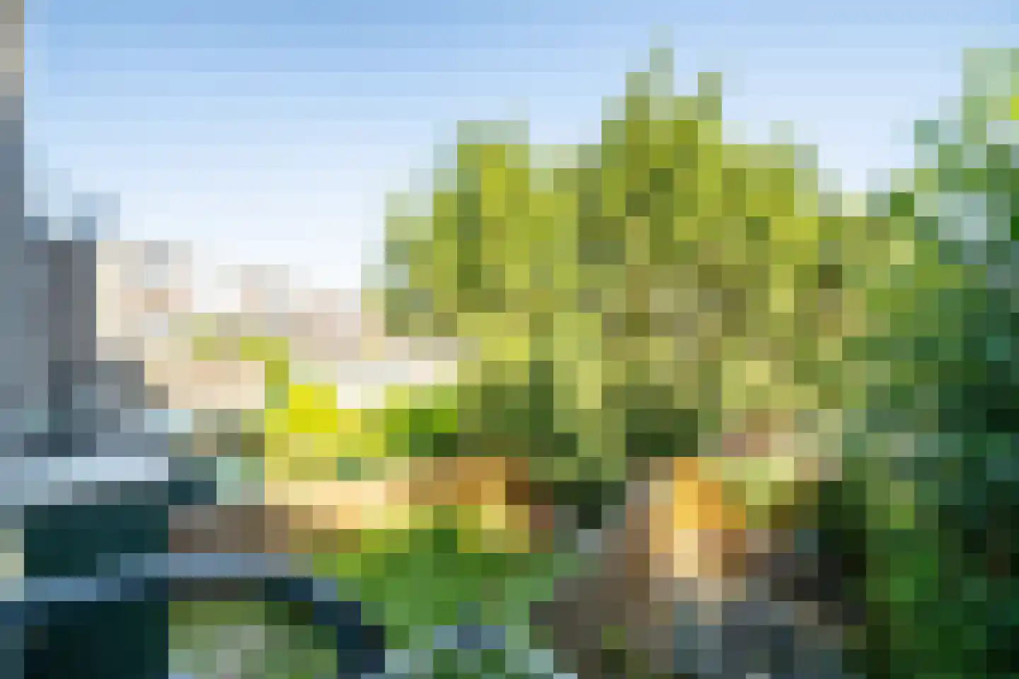 Stuyvesantplein 14 Den Haag thumbnail 22