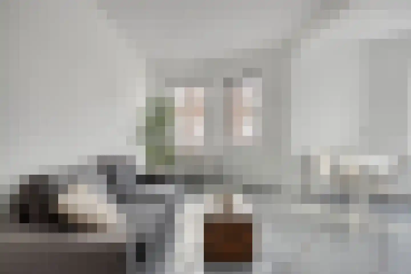Stuyvesantplein 14 Den Haag thumbnail 5