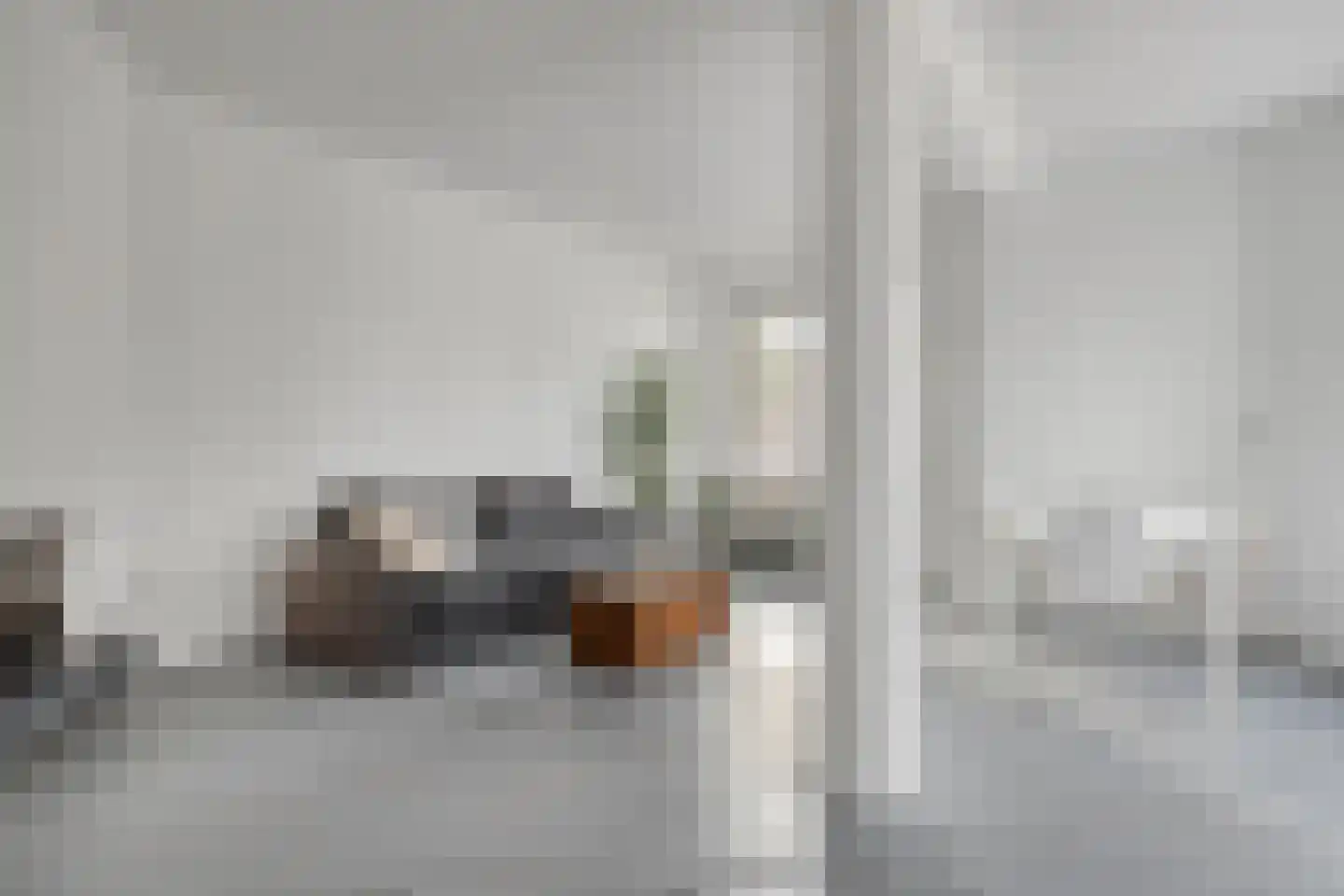 Stuyvesantplein 14 Den Haag thumbnail 6