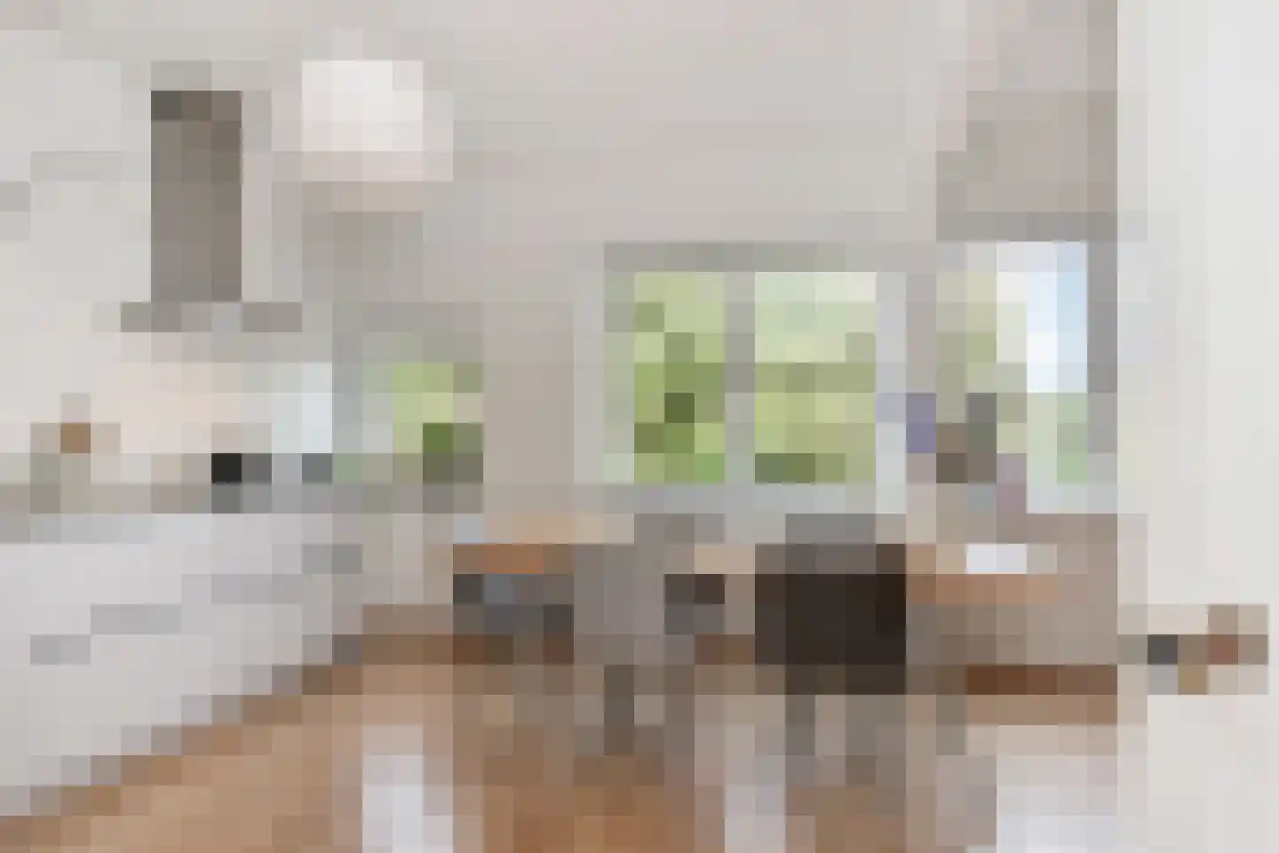 Stuyvesantplein 16 Den Haag thumbnail 9