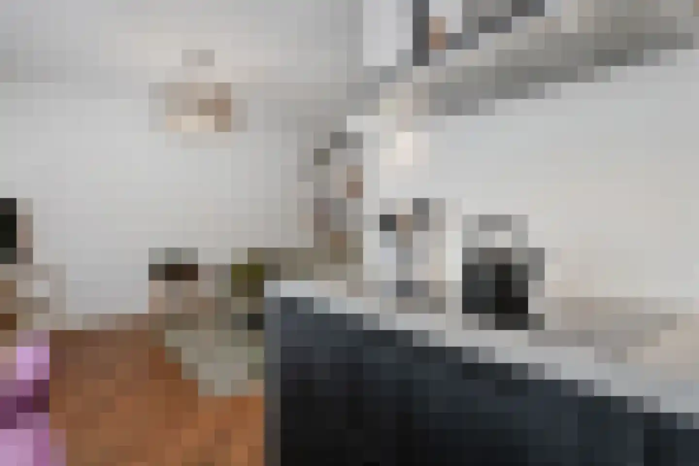 Stuyvesantplein 17 Den Haag thumbnail 12
