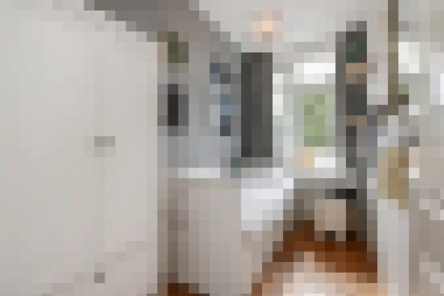 Stuyvesantplein 17 Den Haag thumbnail 22