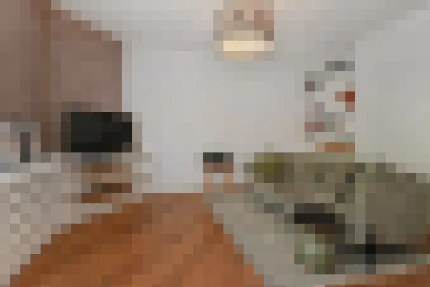 Stuyvesantplein 17 Den Haag thumbnail 6
