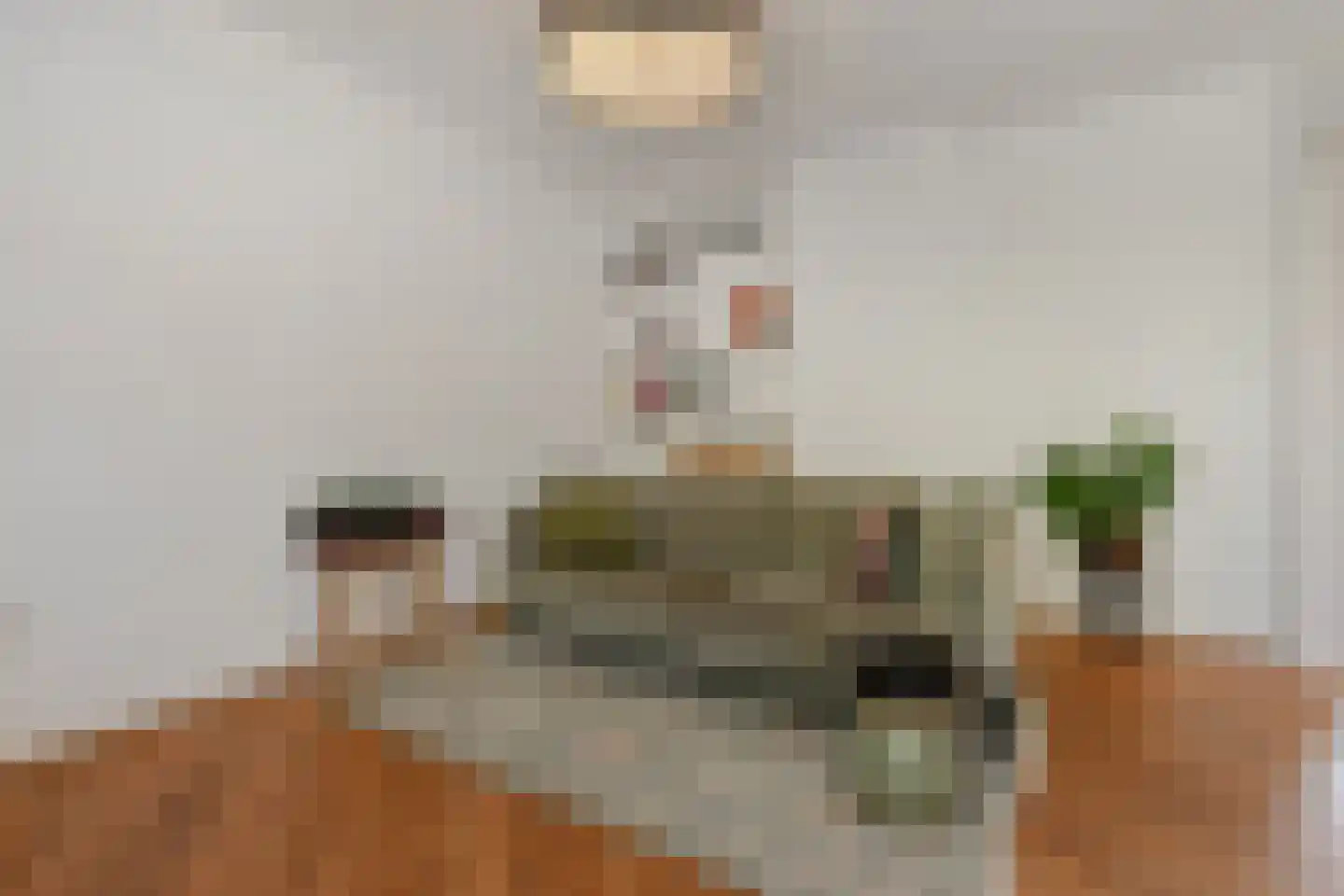 Stuyvesantplein 17 Den Haag thumbnail 7