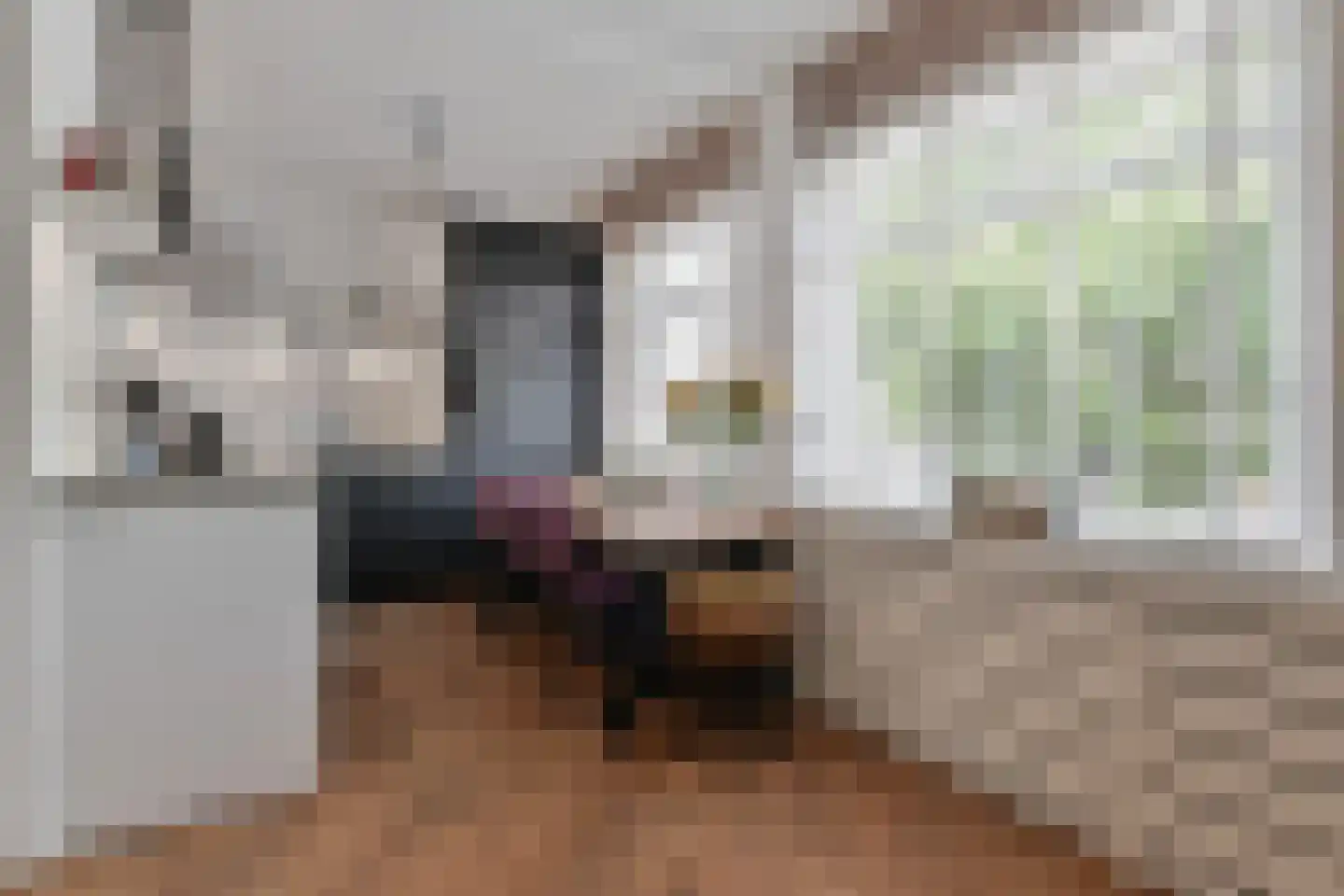 Stuyvesantplein 17 Den Haag thumbnail 9