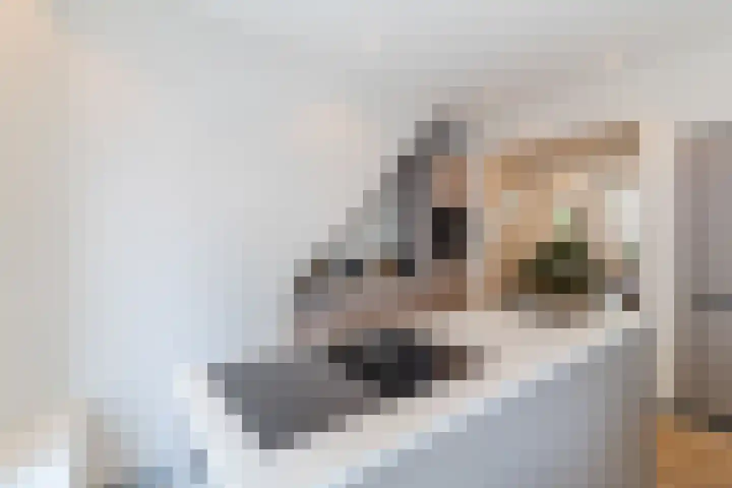 Stuyvesantplein 7 Den Haag thumbnail 10
