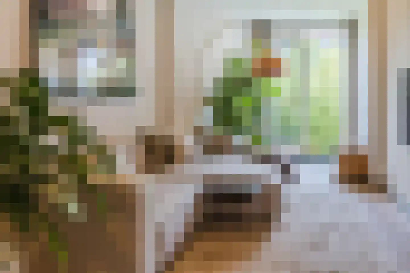 Stuyvesantplein 7 Den Haag thumbnail 12