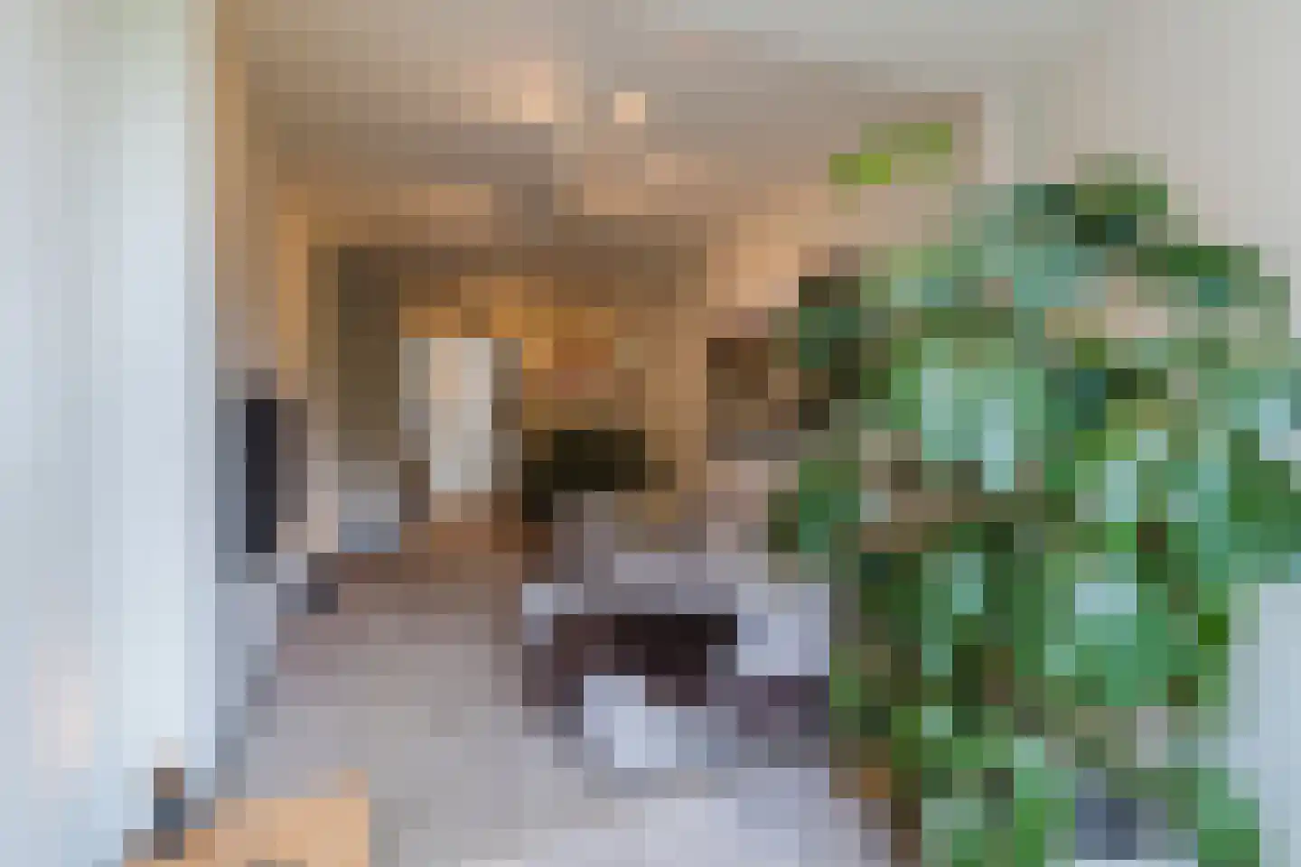 Stuyvesantplein 7 Den Haag thumbnail 15