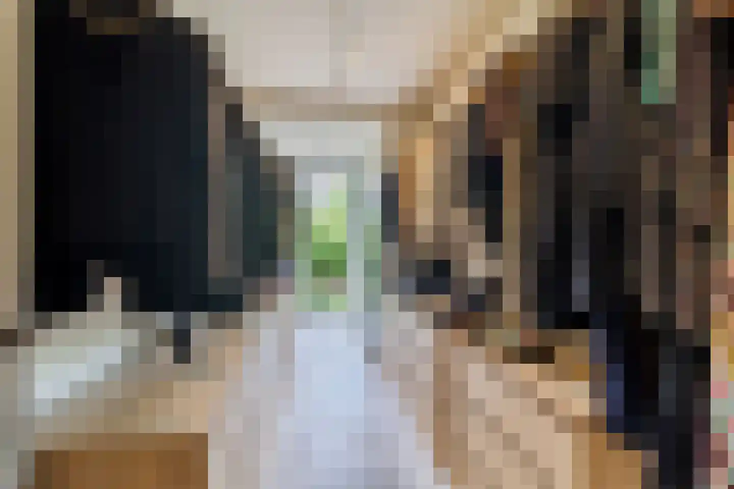 Stuyvesantplein 7 Den Haag thumbnail 18