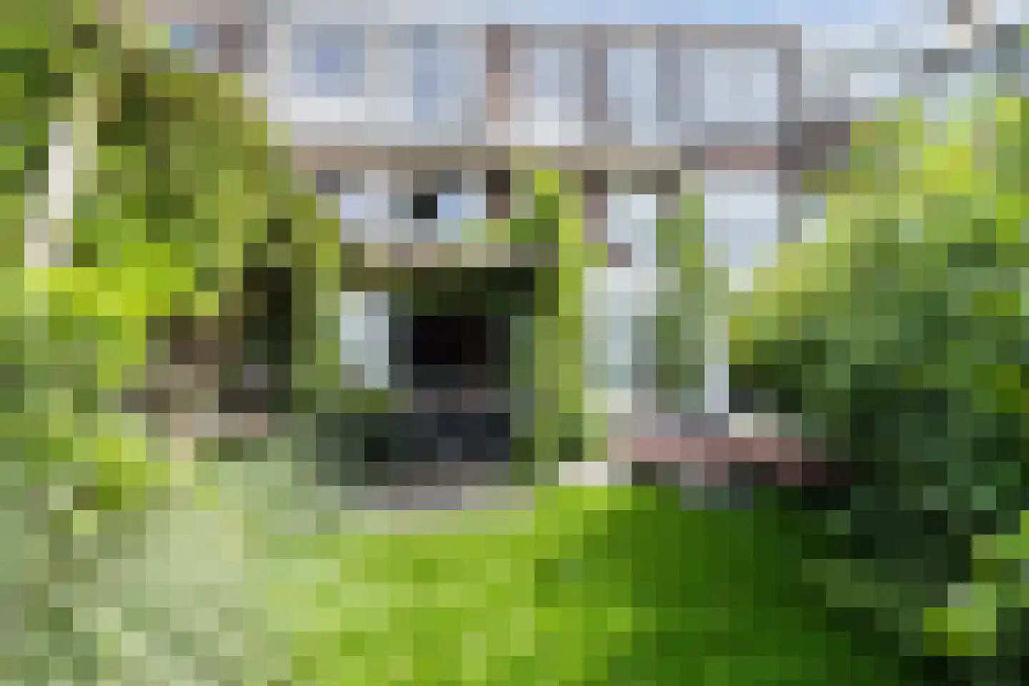 Stuyvesantplein 7 Den Haag thumbnail 37