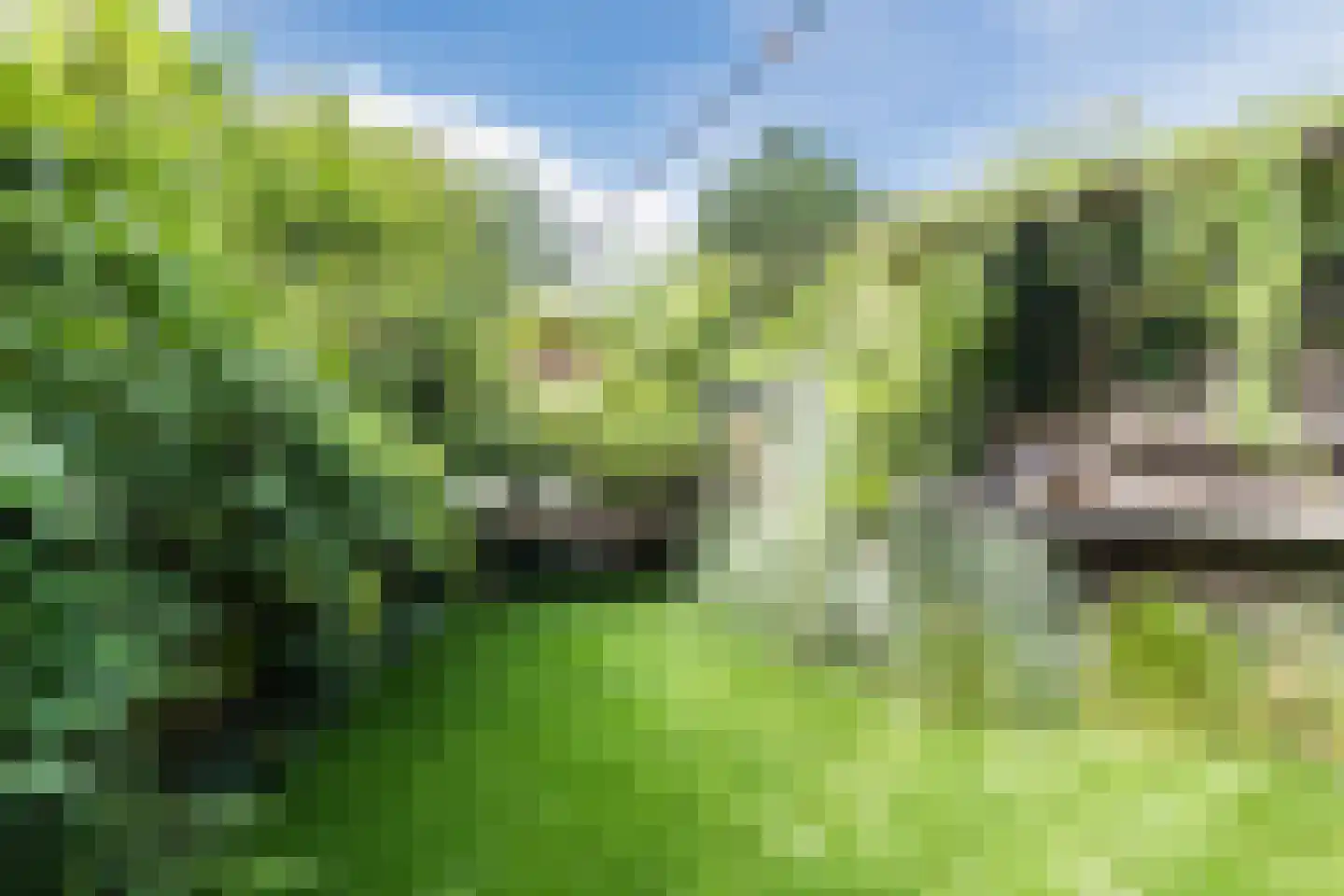 Stuyvesantplein 7 Den Haag thumbnail 41