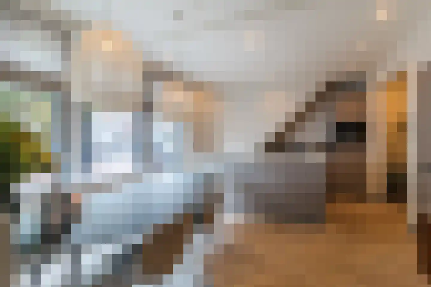 Stuyvesantplein 7 Den Haag thumbnail 7