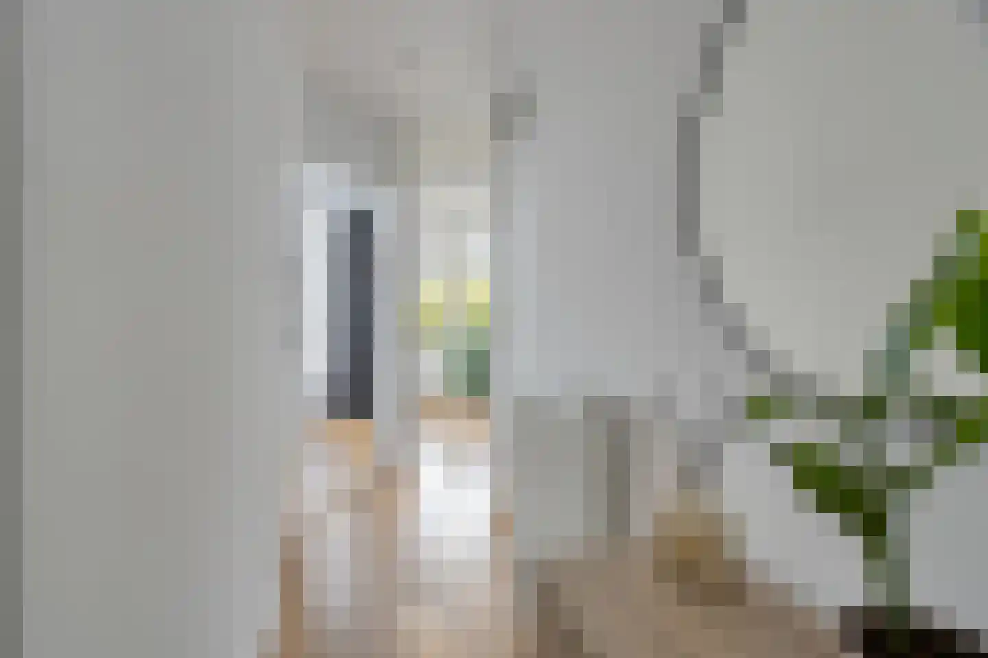 Stuyvesantplein 8 Den Haag thumbnail 8