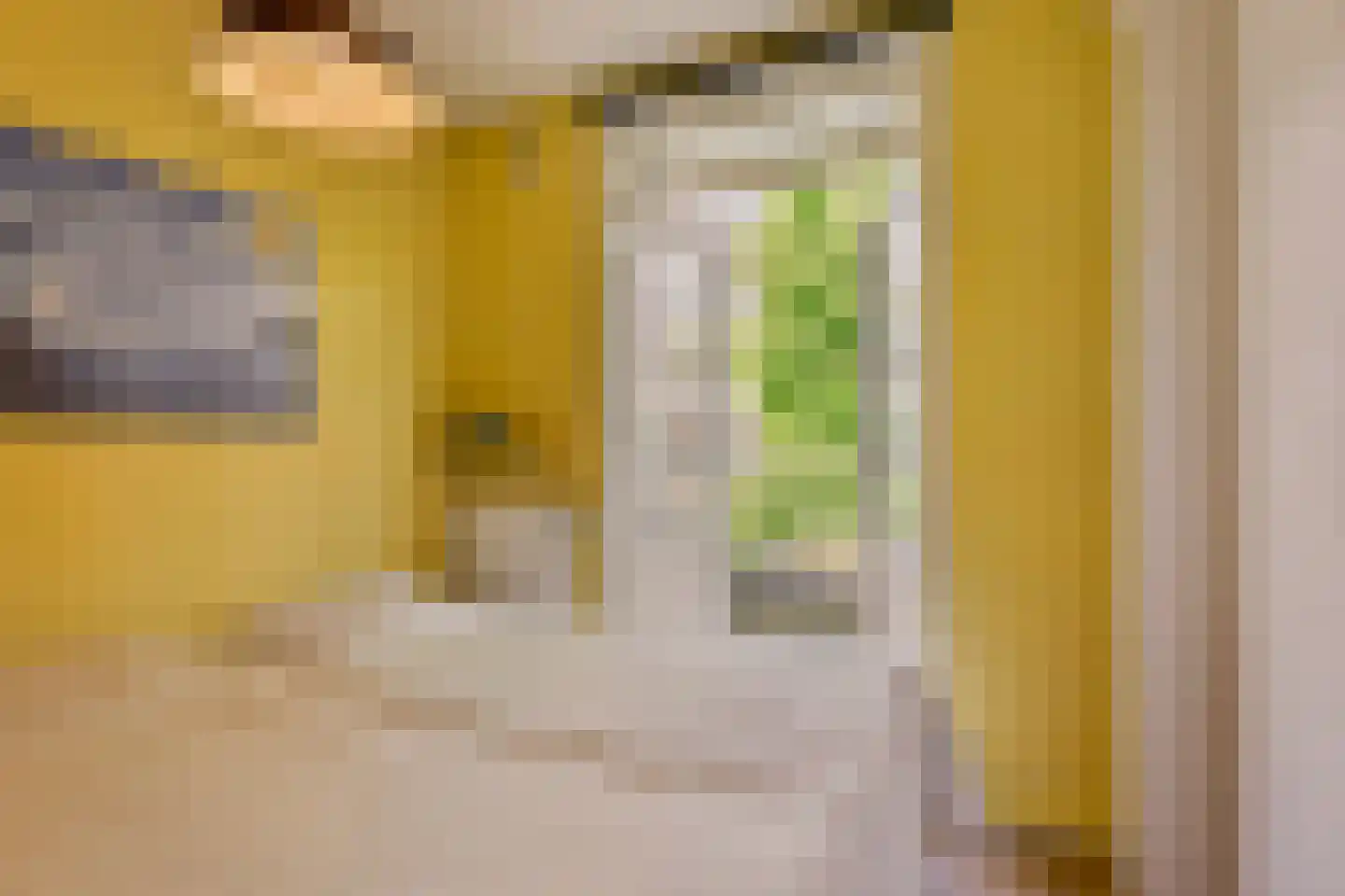 Stuyvesantstraat 11 2 Amsterdam thumbnail 11