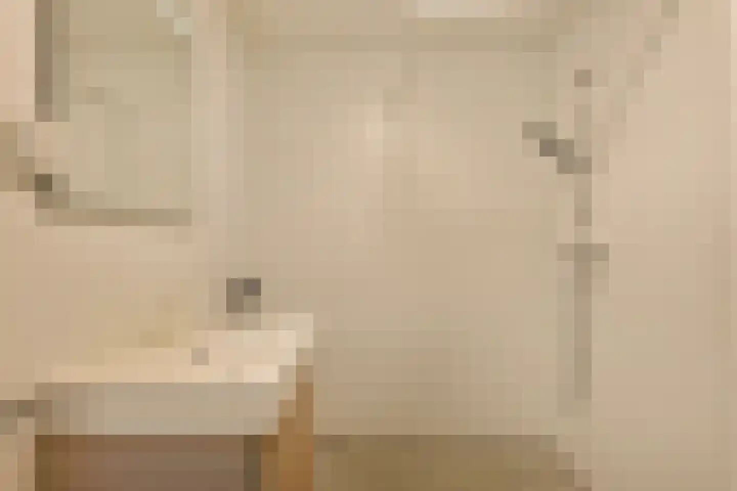 Stuyvesantstraat 11 2 Amsterdam thumbnail 12