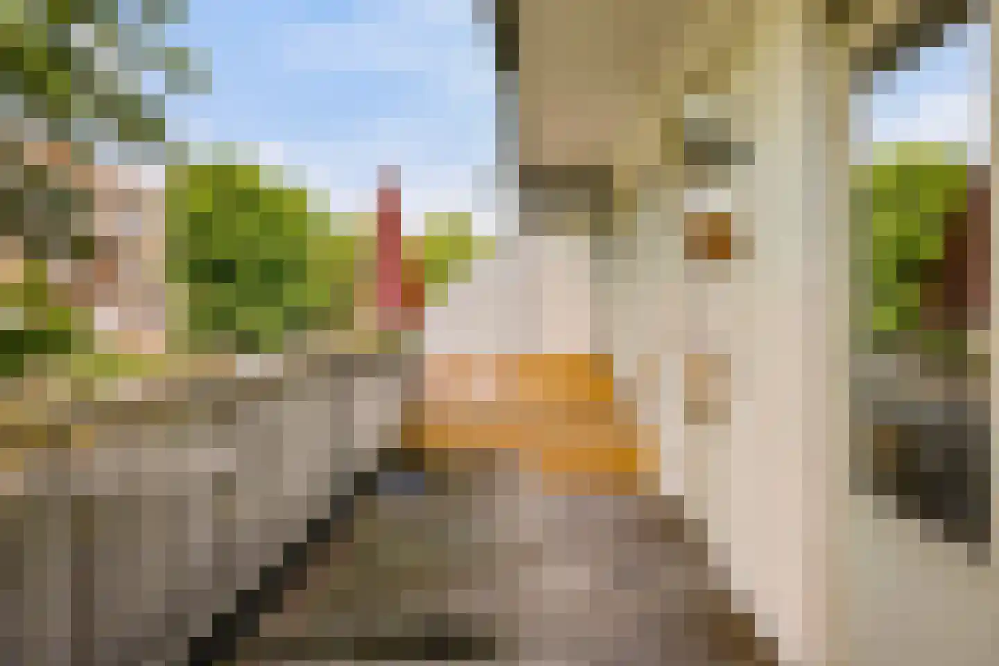 Stuyvesantstraat 11 2 Amsterdam thumbnail 14