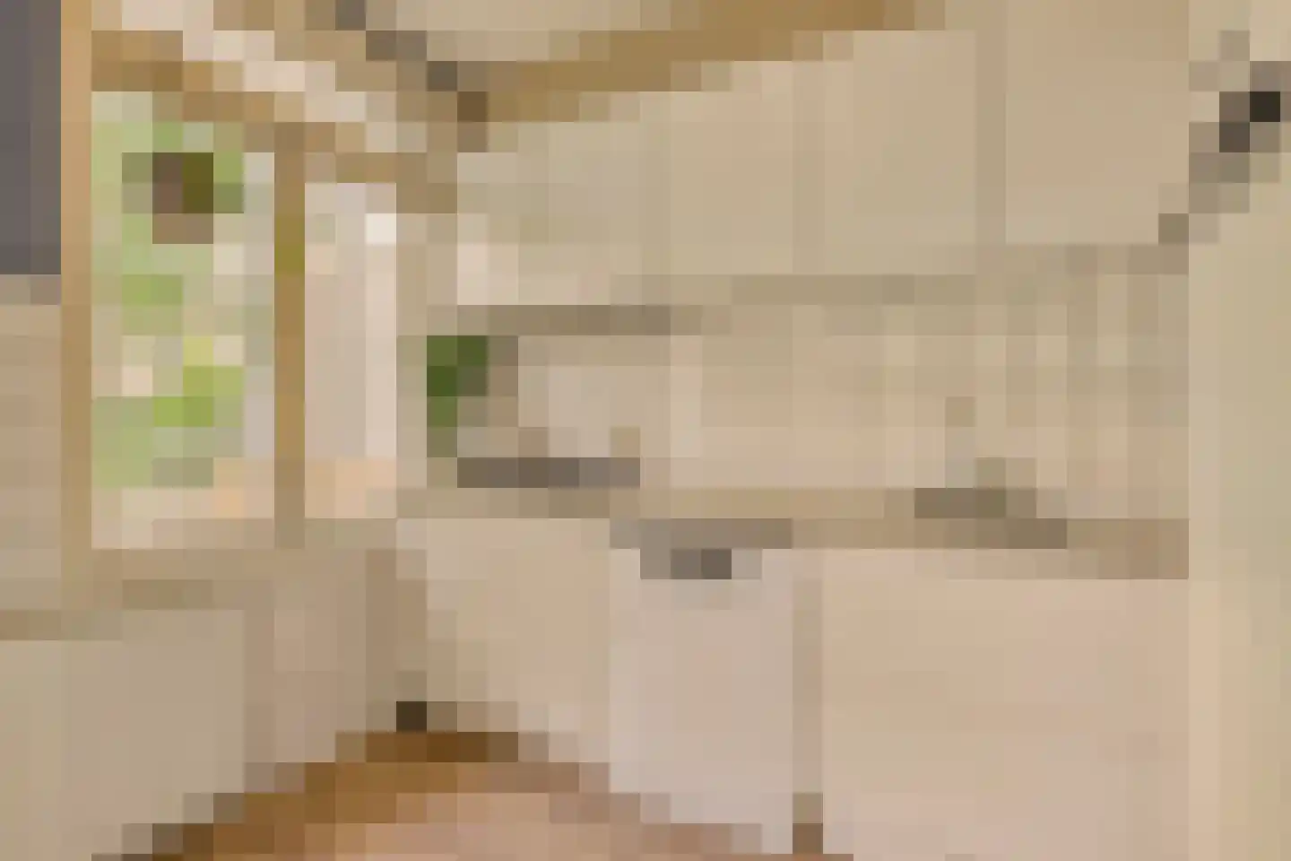 Stuyvesantstraat 11 2 Amsterdam thumbnail 16