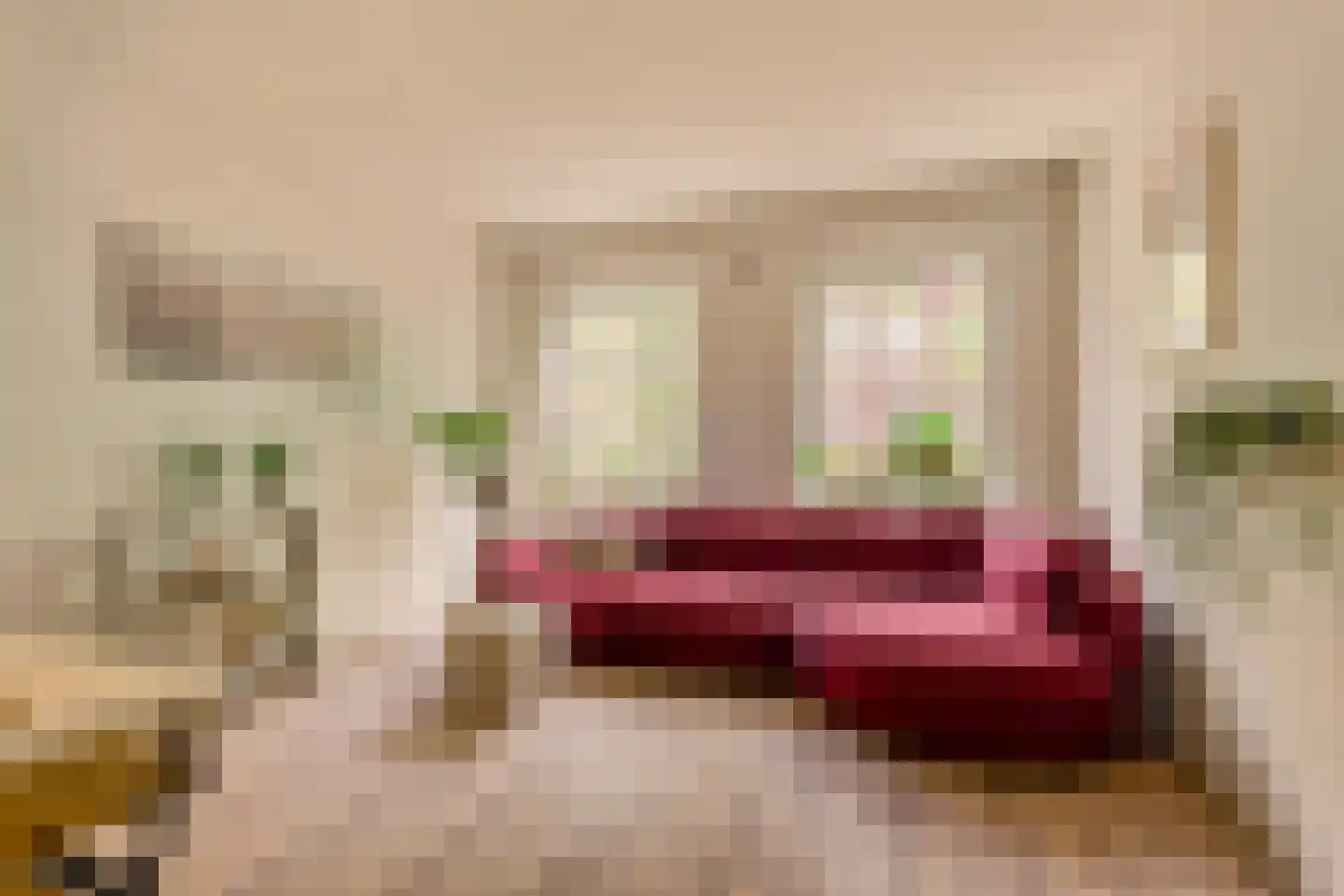 Stuyvesantstraat 11 2 Amsterdam thumbnail 4