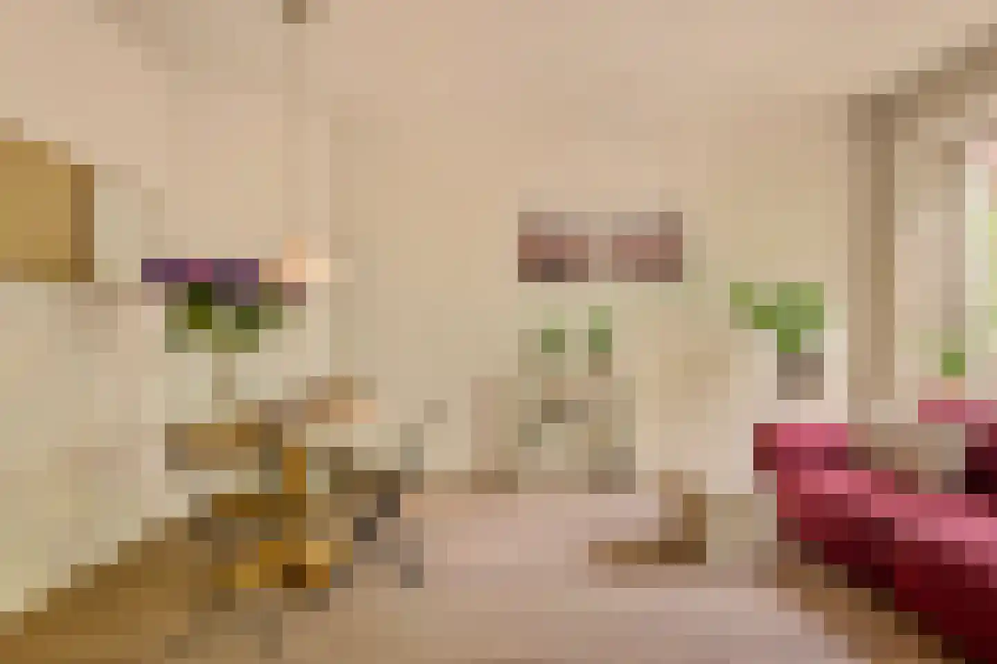 Stuyvesantstraat 11 2 Amsterdam thumbnail 5
