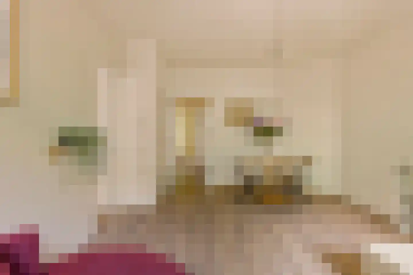 Stuyvesantstraat 11 2 Amsterdam thumbnail 7